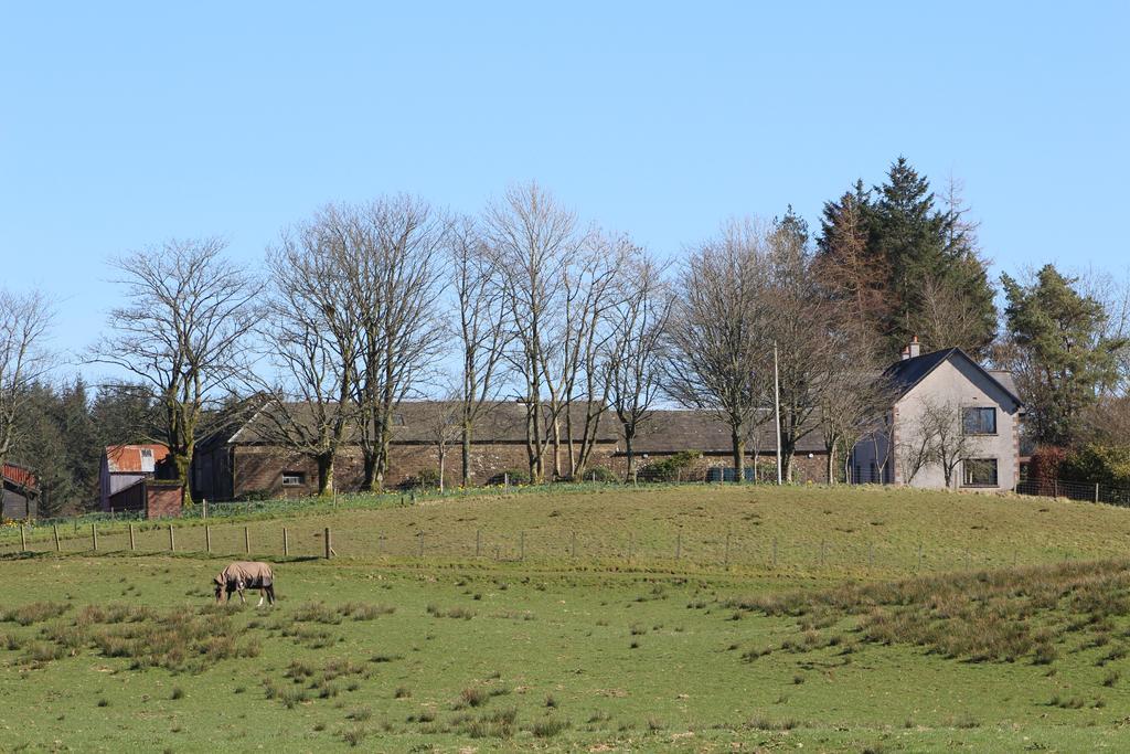 Shandon Farmhouse Bed And Breakfast 드리맨 외부 사진